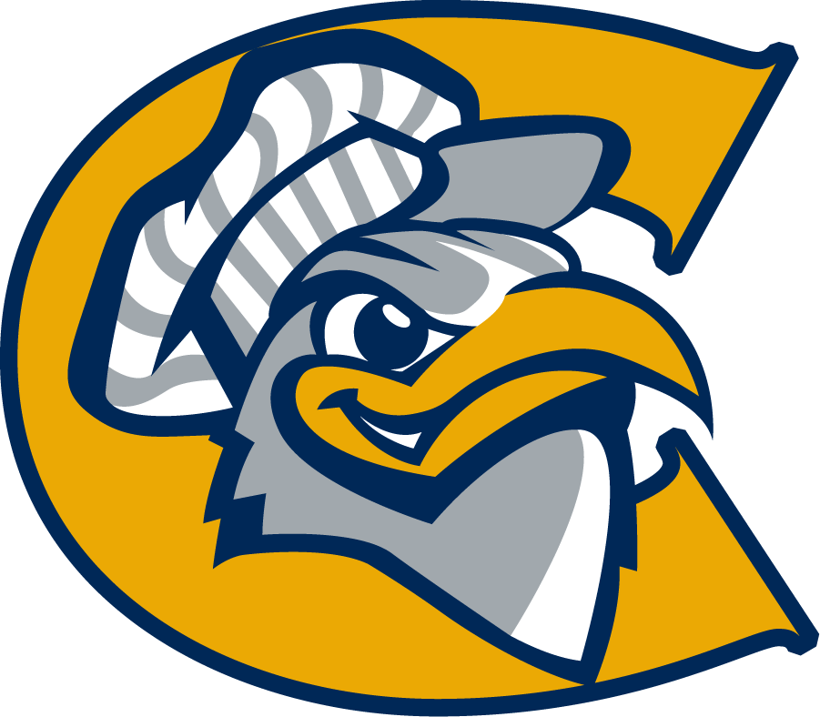 Chattanooga Mocs 1997-2008 Alternate Logo v2 iron on transfers for T-shirts